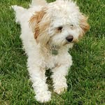 Robert Shiels - @robert_shiels_realtor - Instagram