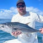 Robert Shimmin - @rob3am_ - Instagram