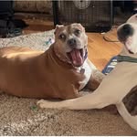 Robert Shiver - @robertshiver69 - Instagram