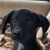 Robert D Shotts - @robertdshotts - TikTok