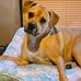 Robert Shover - Facebook