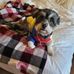 Robert Shrader - Facebook