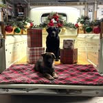 Robert Shubert - @robert.shubert.549 - Instagram