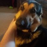 Robert Shultz - @robert.shultz.146 - Instagram