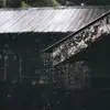 Robert Shultz - @robertshutlz105 - TikTok
