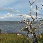 Robert Siemens - @siemens_robert - Instagram