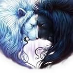 Robert Sievert - @sievertrobert - Instagram