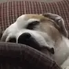 Robert Simerly - @robertsimerly - TikTok