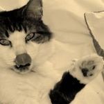 robert simpkin - @robert.simpkin - Instagram