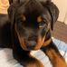 Robert Simpkins - Facebook