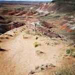 Robert Simpkins - @simpkinsrobert - Instagram