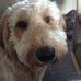 Robert Simpson - Facebook