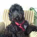 Robert Singer - @robert.singer.9803 - Instagram