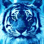 Robert Singer - @robert.singer.9461 - Instagram