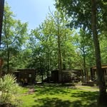 Robert Singer - @robertsinger67 - Instagram