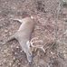Robert Singleton - Facebook