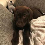 Robert Sivak - @sivak71robert - Instagram