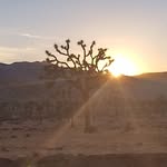 Bob Skillman - @robert.skillman22 - Instagram