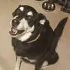 robertslaughter75 - @robertslaughter75 - TikTok
