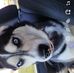 Robert Sliger - Facebook