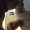 robertsloss0 - @robertsloss0 - TikTok