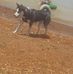 Robert Snover - Facebook