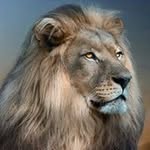 Robert Sobolewski - @robert.sobolewski.96 - Instagram