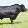 Robert Solarczyk - @robert.solarczyk - TikTok