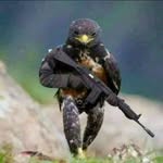 Robert Solomon - @robert.solomon.35380 - Instagram