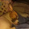 Robert Solomon - @robert.solomon089 - TikTok