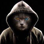 Robert Solomon - @robert.solomon.3194 - Instagram