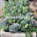Robertsons Horsham. - @robertsons_horsham - Instagram