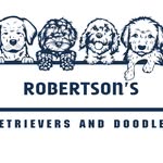 Robertson's Retrievers and Doodles - @robertsonsretrieversanddoodles - Instagram