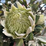 Robertson’s Warrnambool - @robertsons_warrnambool - Instagram