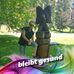 Robert Sorger - Facebook