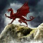 Robert 'Speedy' White - @welshspeedy - Instagram