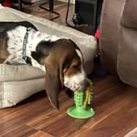 Robert Sperduto - @robert.sperduto - Instagram