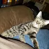 robertsetzler - @robertsetzler - TikTok