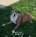 Robert Spicuzza - Facebook