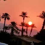 Robert  spong - @spong.robert - Instagram