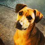 @robert_spong_ - Instagram