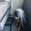 Robert Sprakel - @robertsprakel - TikTok