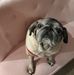 Robert Sprenkle - Facebook