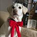 Rob Squeglia - Facebook