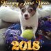 Robert Squeglia - Facebook