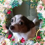 Robert Squeglia - @squegliarobert - Instagram