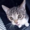 Robert Stabler - @robert.stabler4 - TikTok
