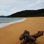 Robert Stack - @stack4006 - Instagram