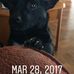Robert Staggs - Facebook