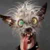 Robert Staggs - @robert.staggs1 - TikTok